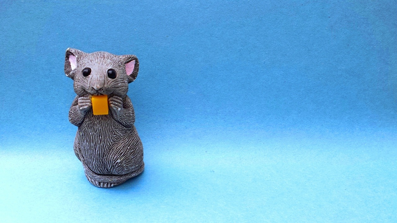 mousy cheese mouse free photo