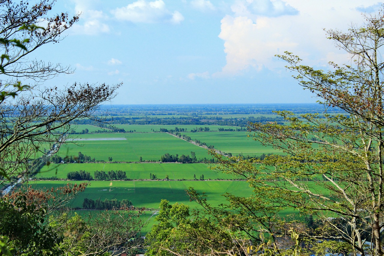 moutain vietnam farm free photo