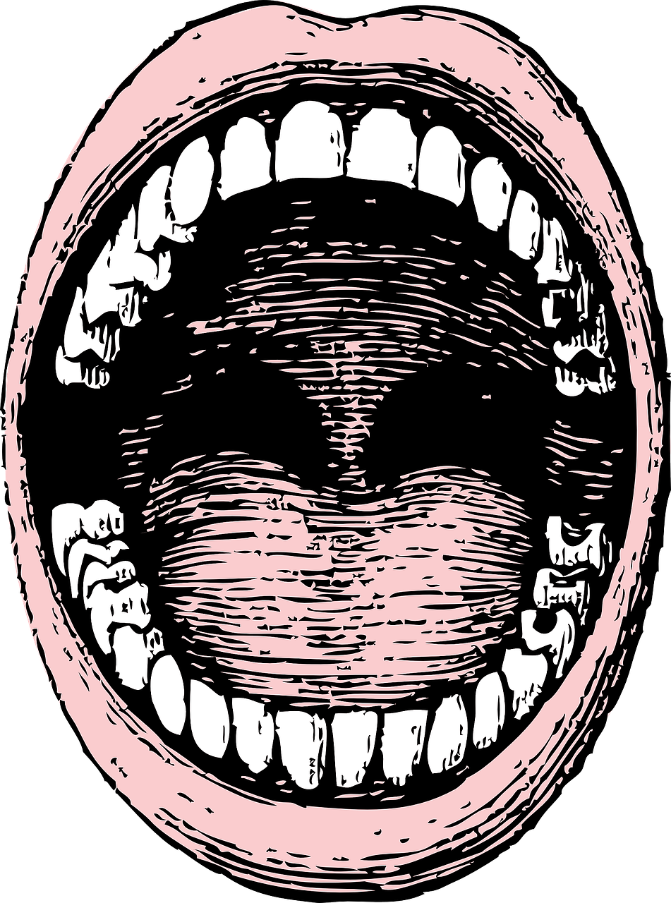 mouth human teeth free photo