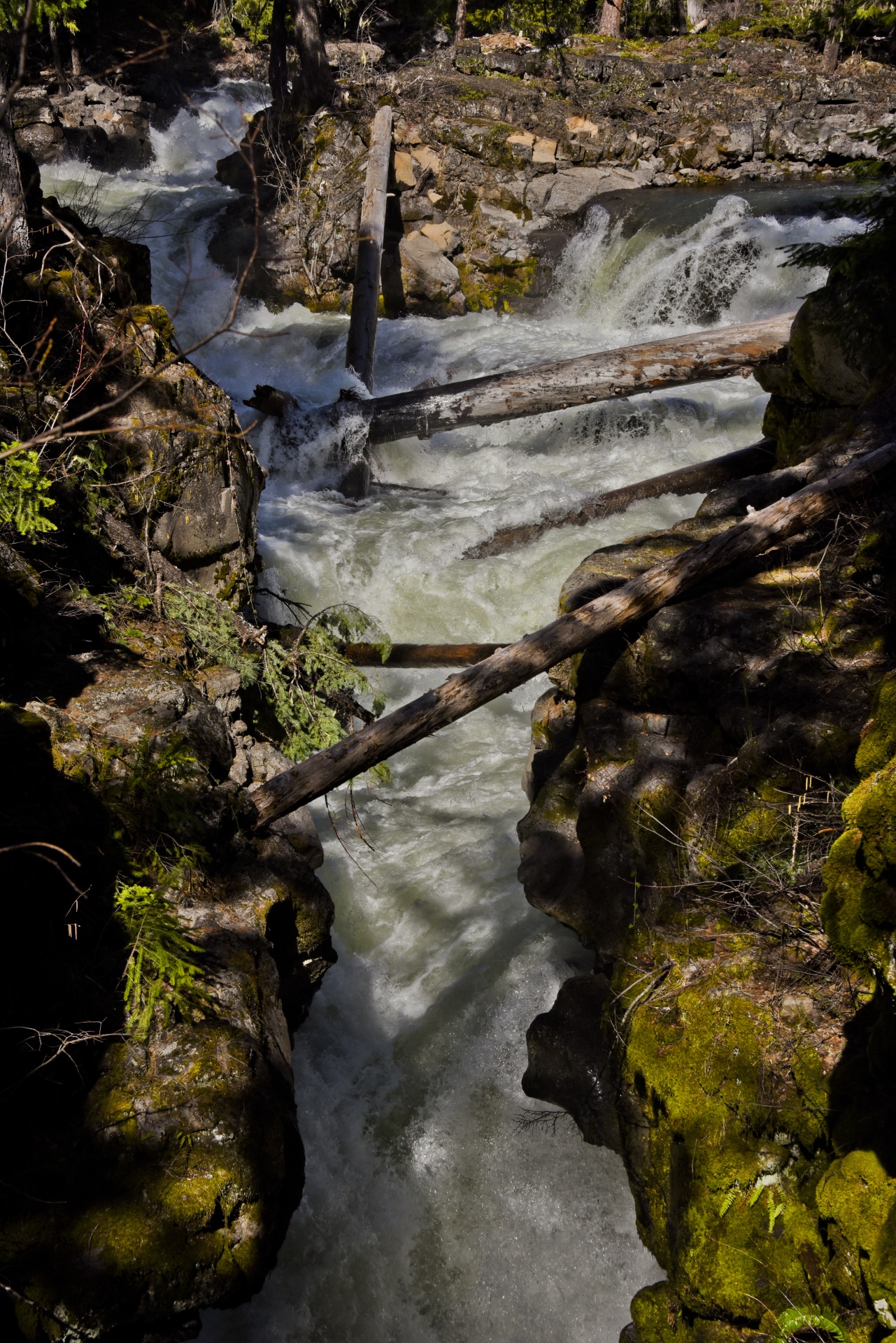 river rapids rapids green water free photo