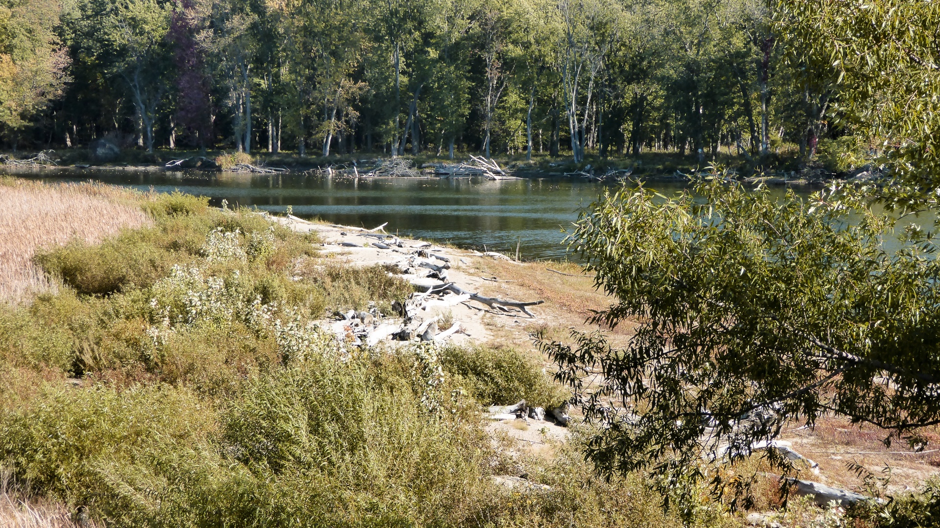 river vermont rural free photo