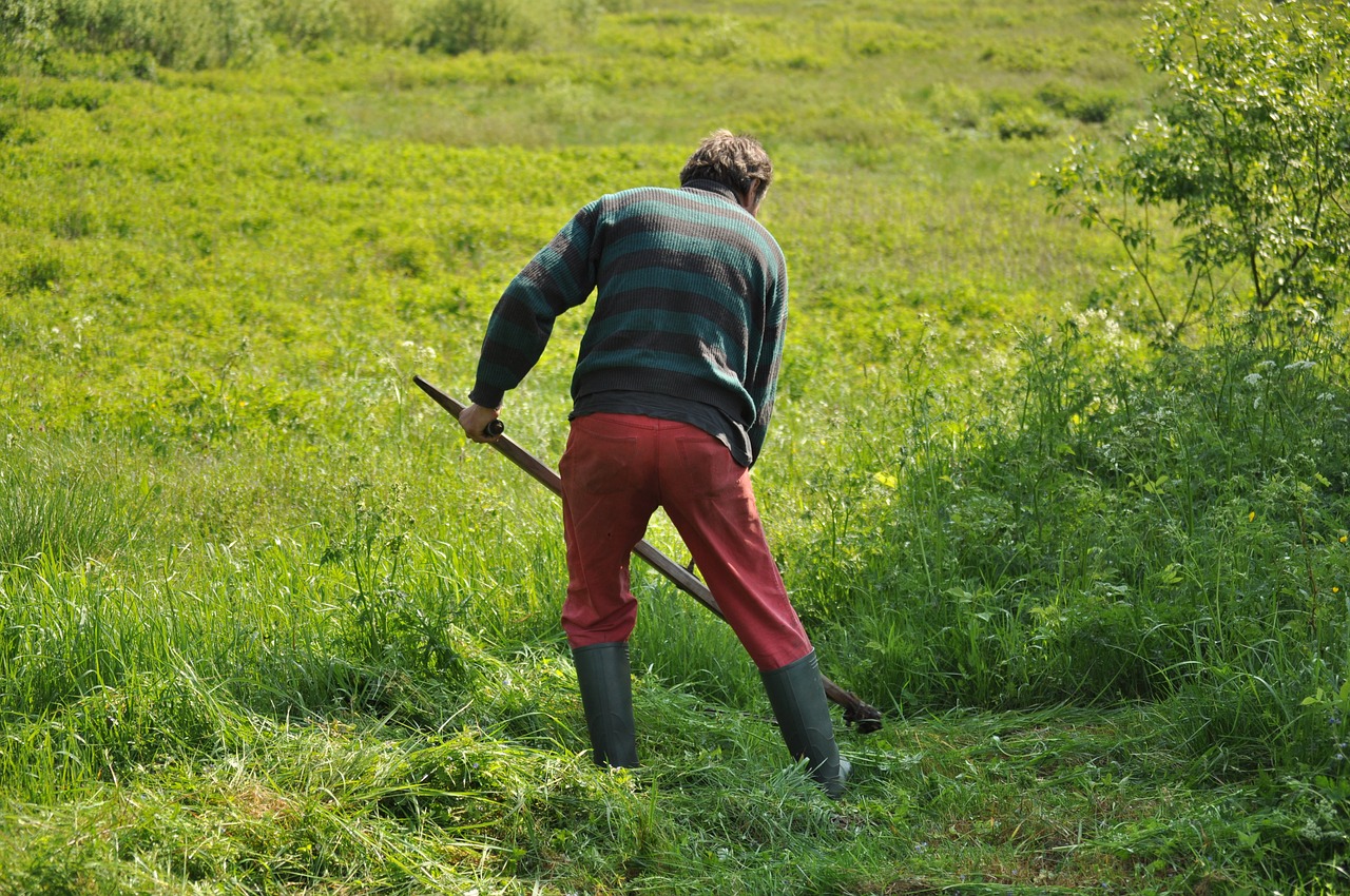 mowing grass field free photo