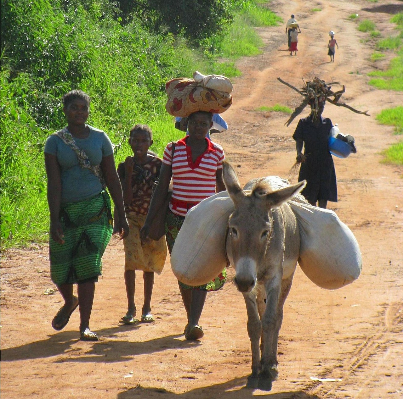 mozambique women nature free photo