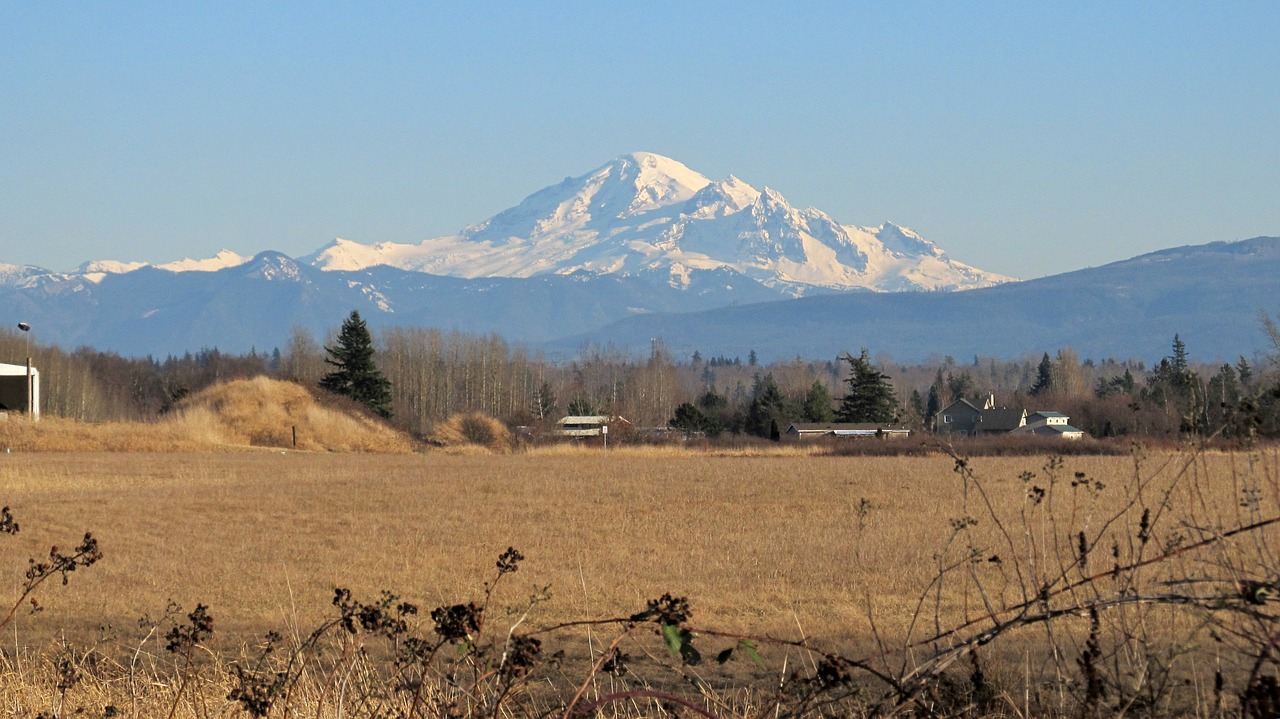 mt baker mountain snowy free photo