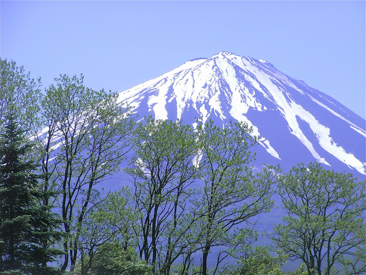 mt fuji world heritage site mountain free photo