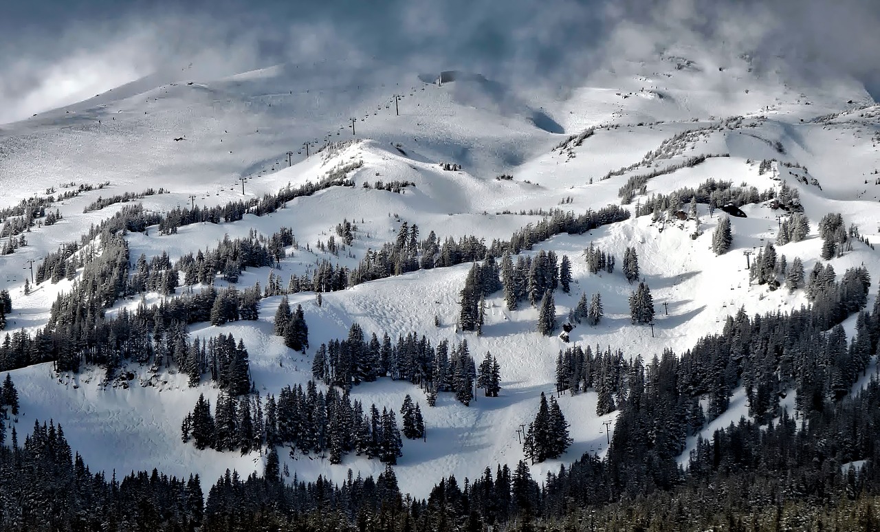 mt hood oregon meadows free photo