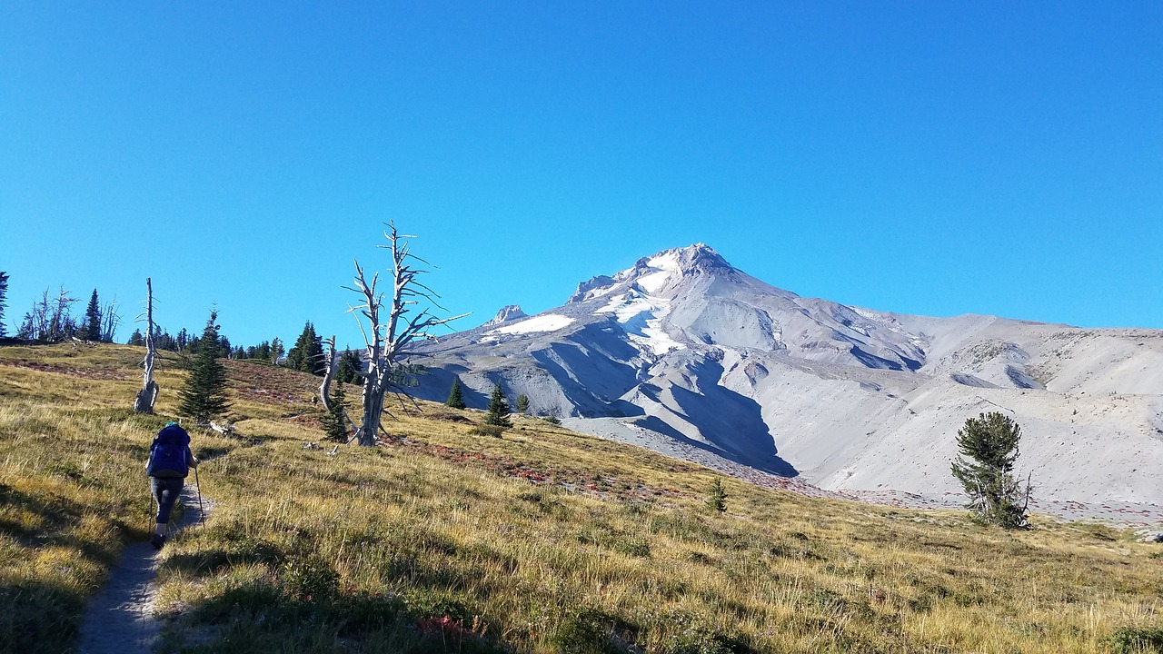 mt hood  mountain  trail free photo