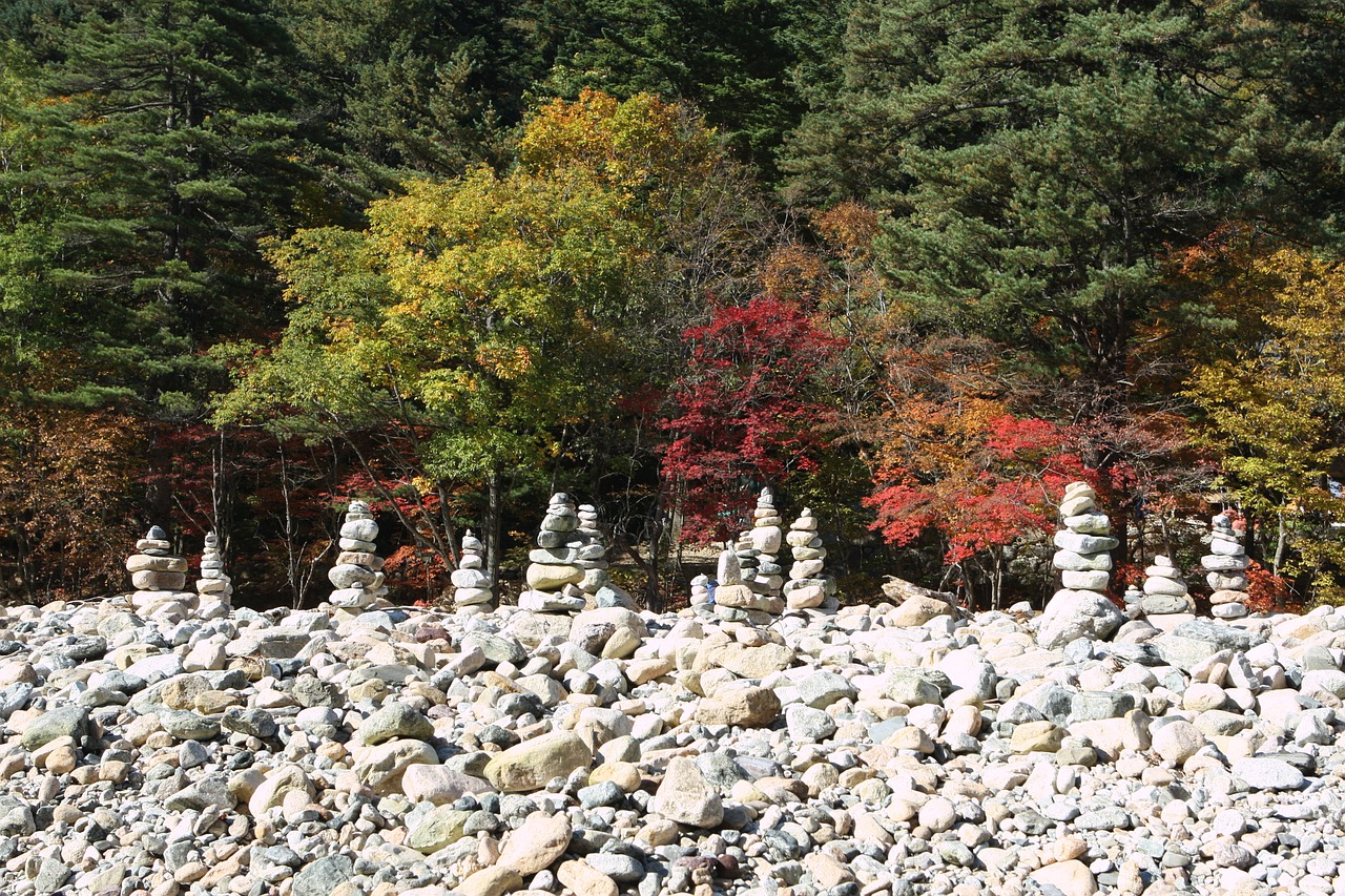 mt seoraksan fall foliage autumn leaves free photo