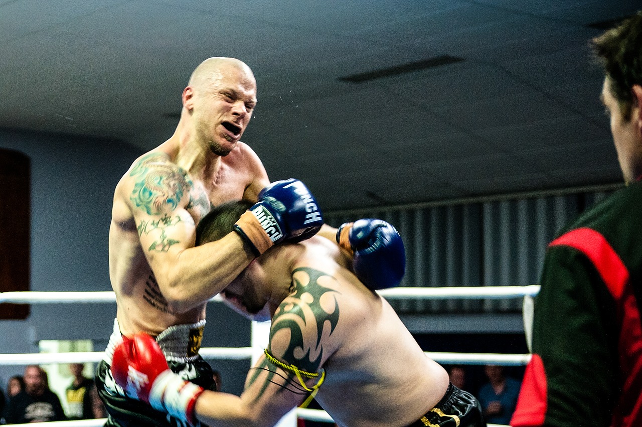 muay thai fight kickboxing free photo