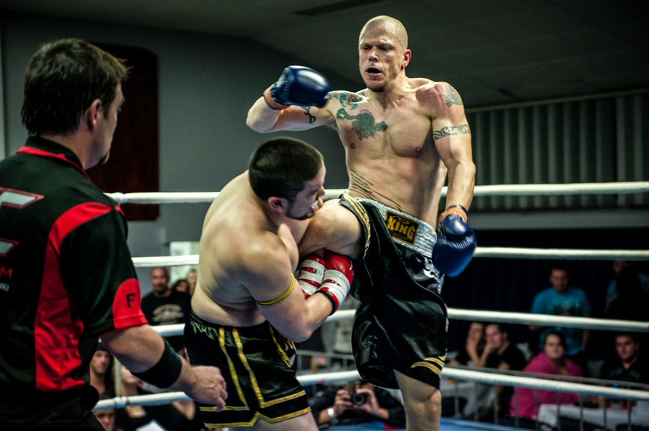 muay thai thai fight fitness free photo