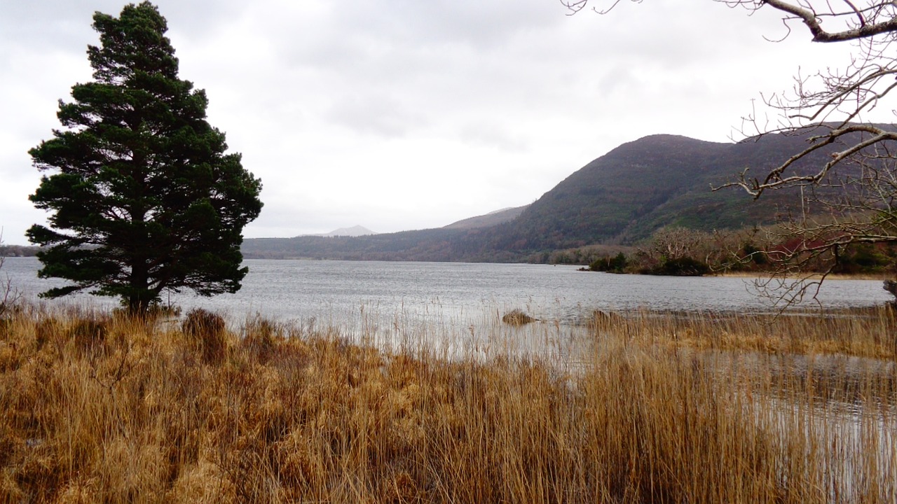 muckross lake ireland wanderlust free photo