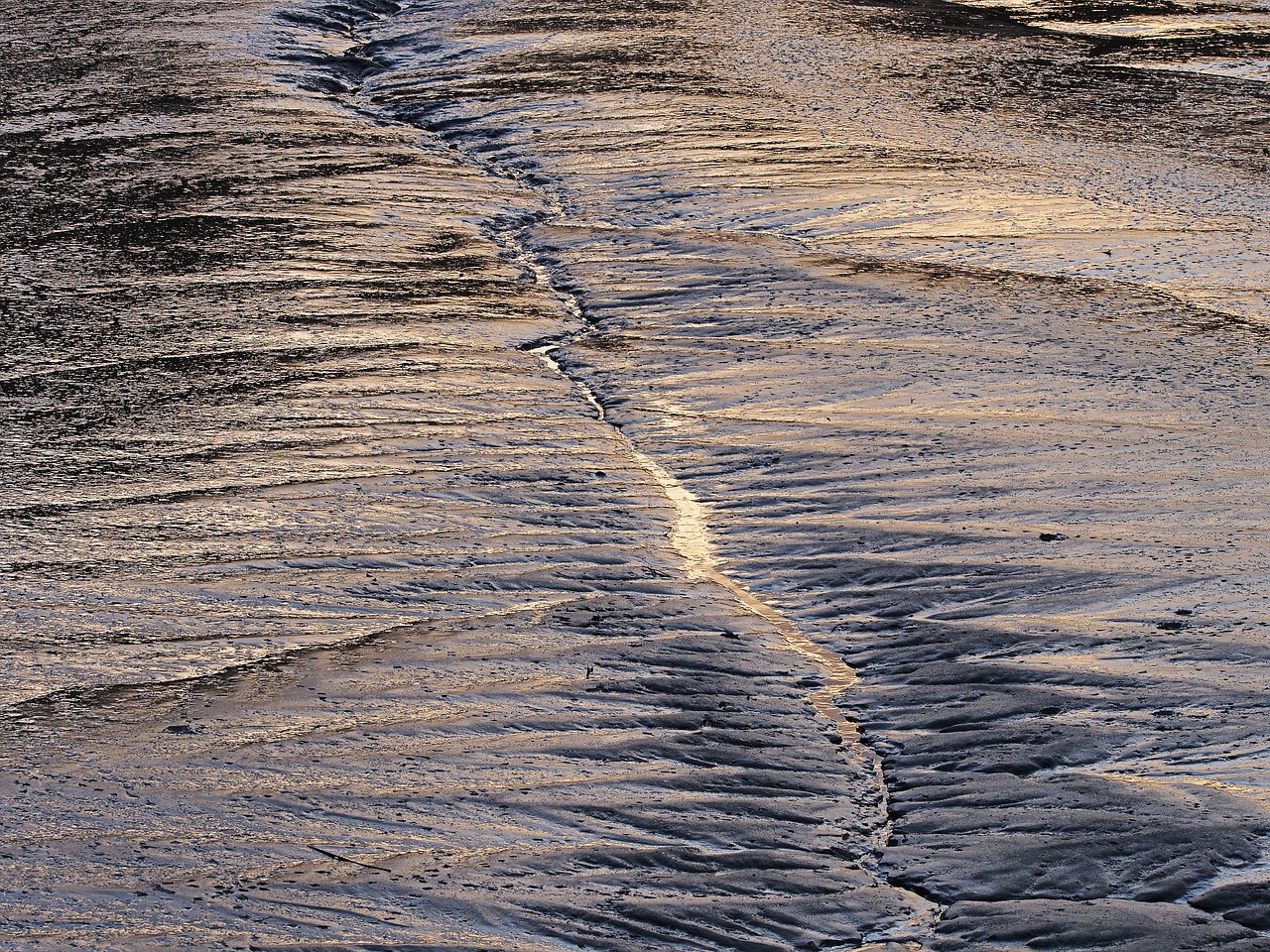 mud low tide free photo