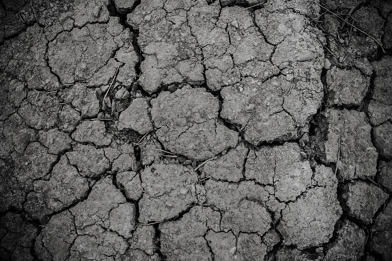 mud dirt drought free photo