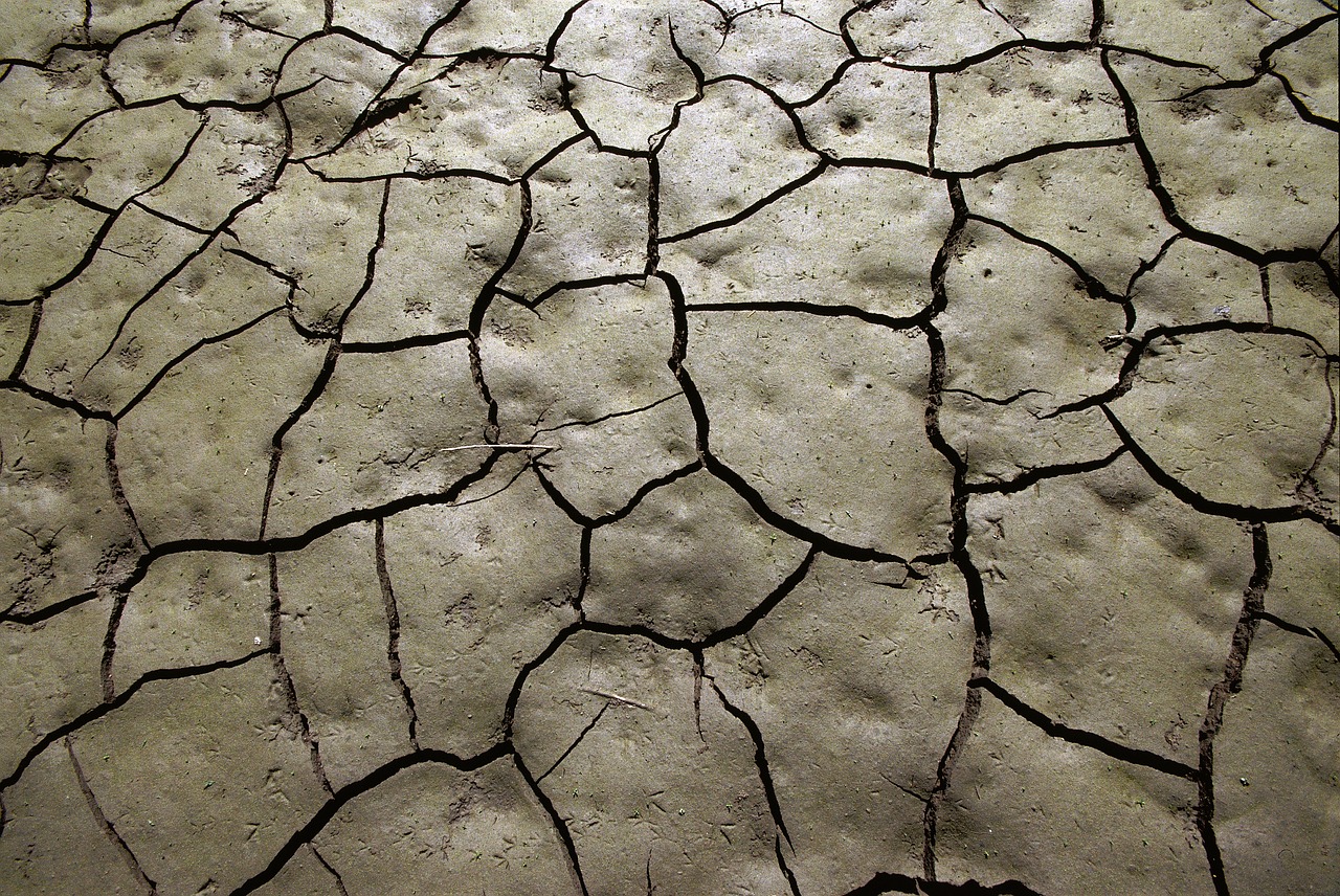 mud drought soil free photo