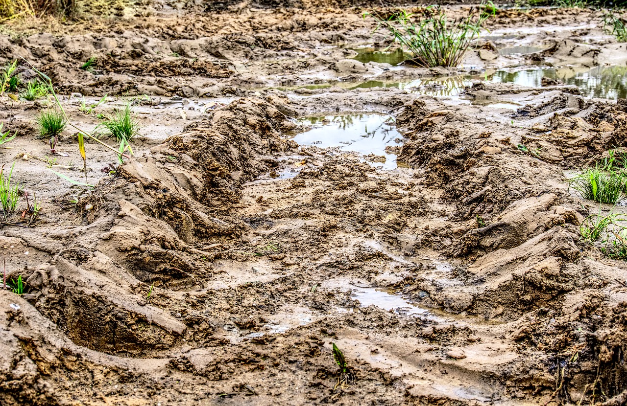 mud trace profile free photo