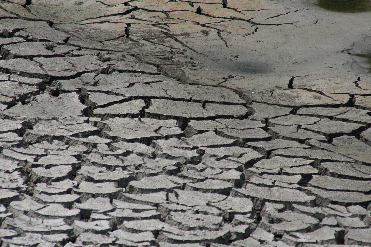 mud  cracks  drought free photo