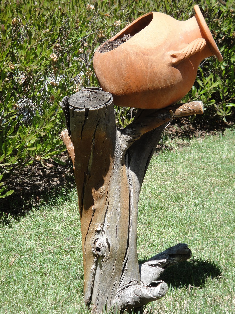 mud planter garden free photo