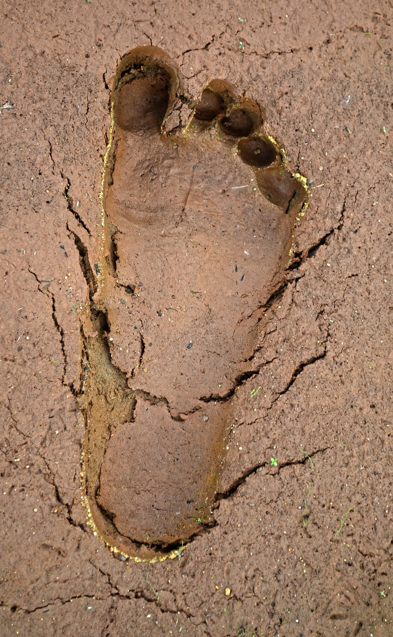 mud track detail free photo