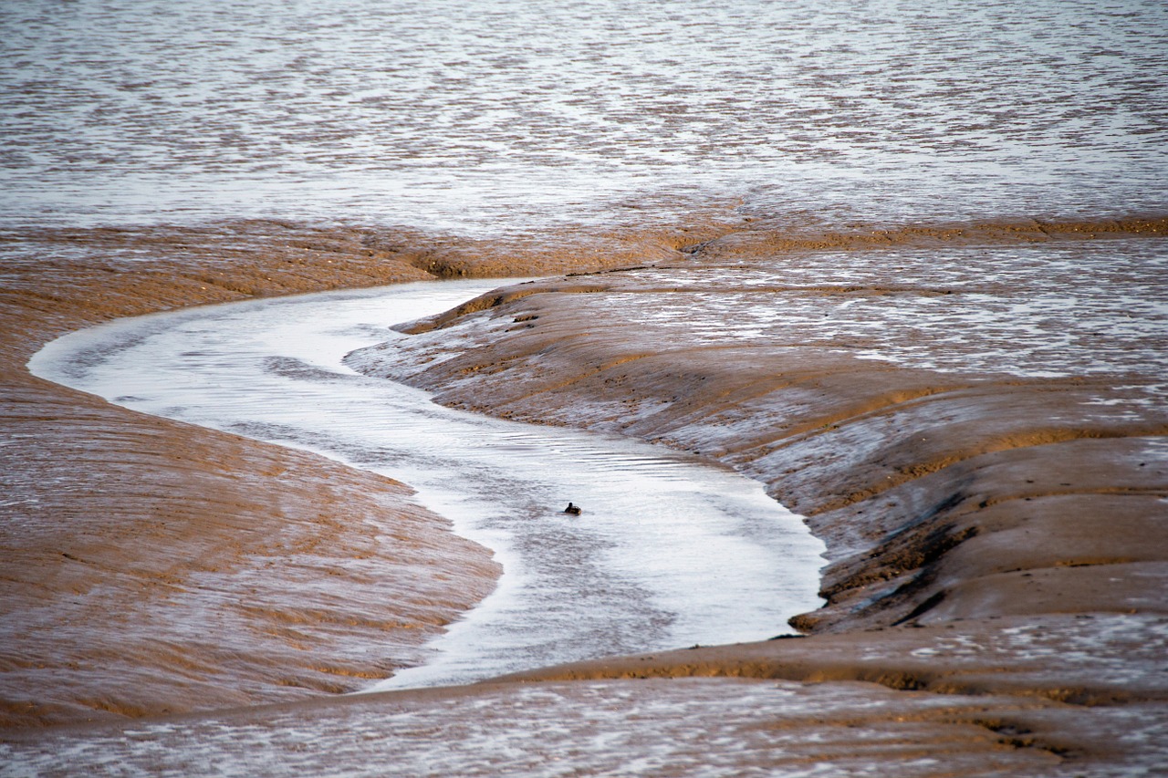 mud flats eb tide thames estuary free photo