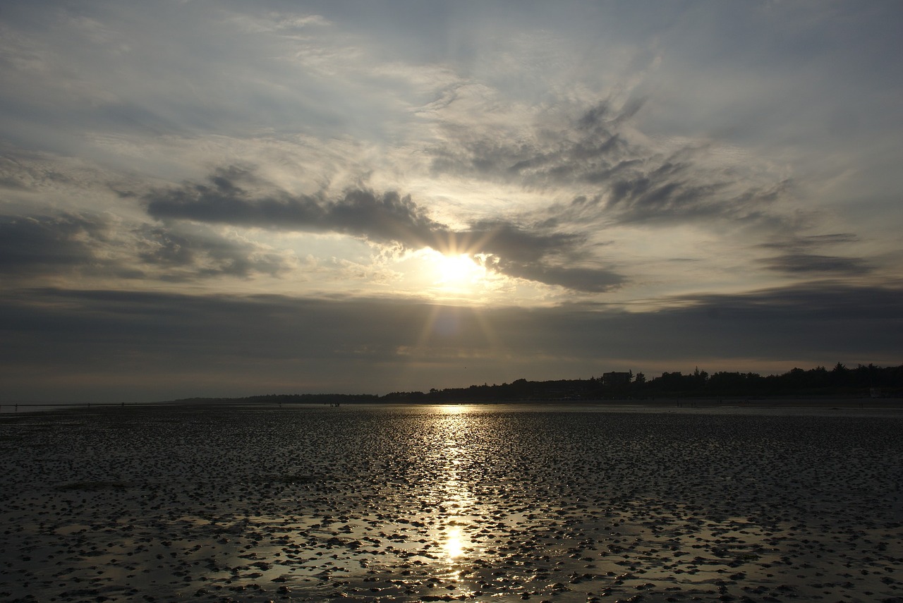 mudflat sun coast free photo