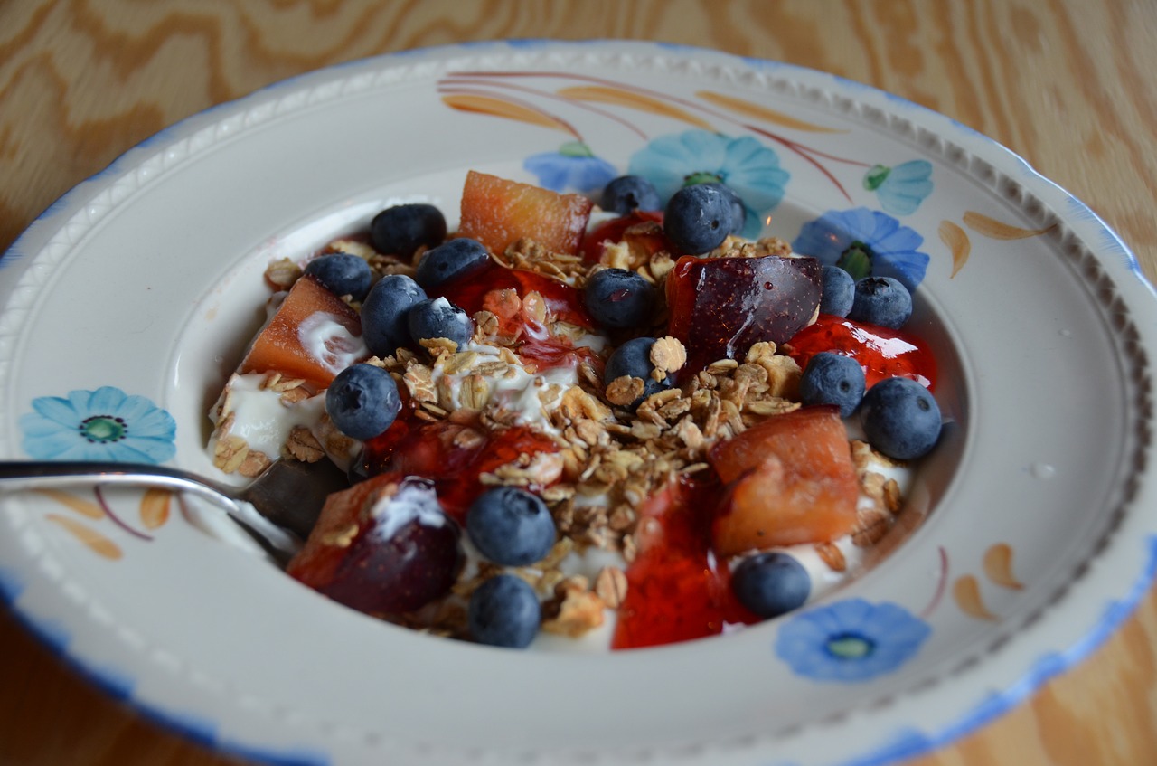 muesli blueberries healthy free photo