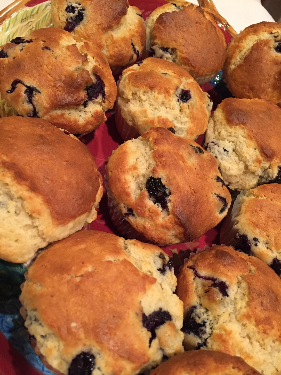 muffin food blueberry free photo