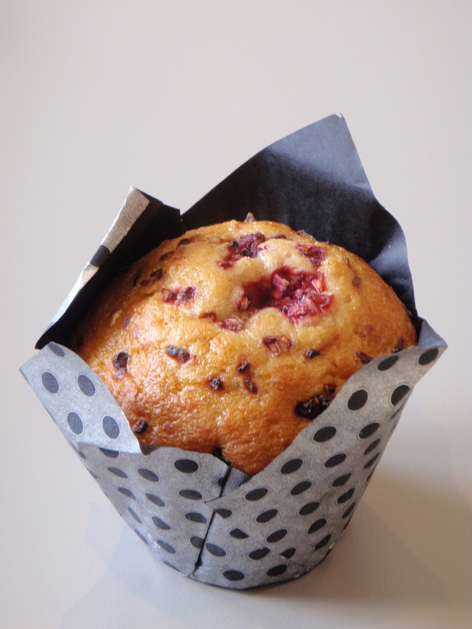 muffin breakfast food free photo