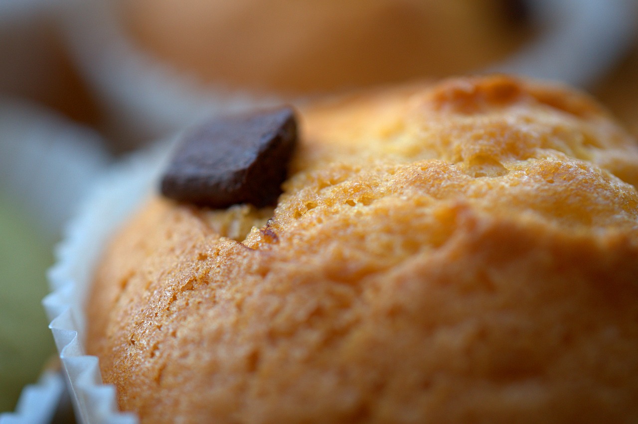 muffin  cake  sweet free photo