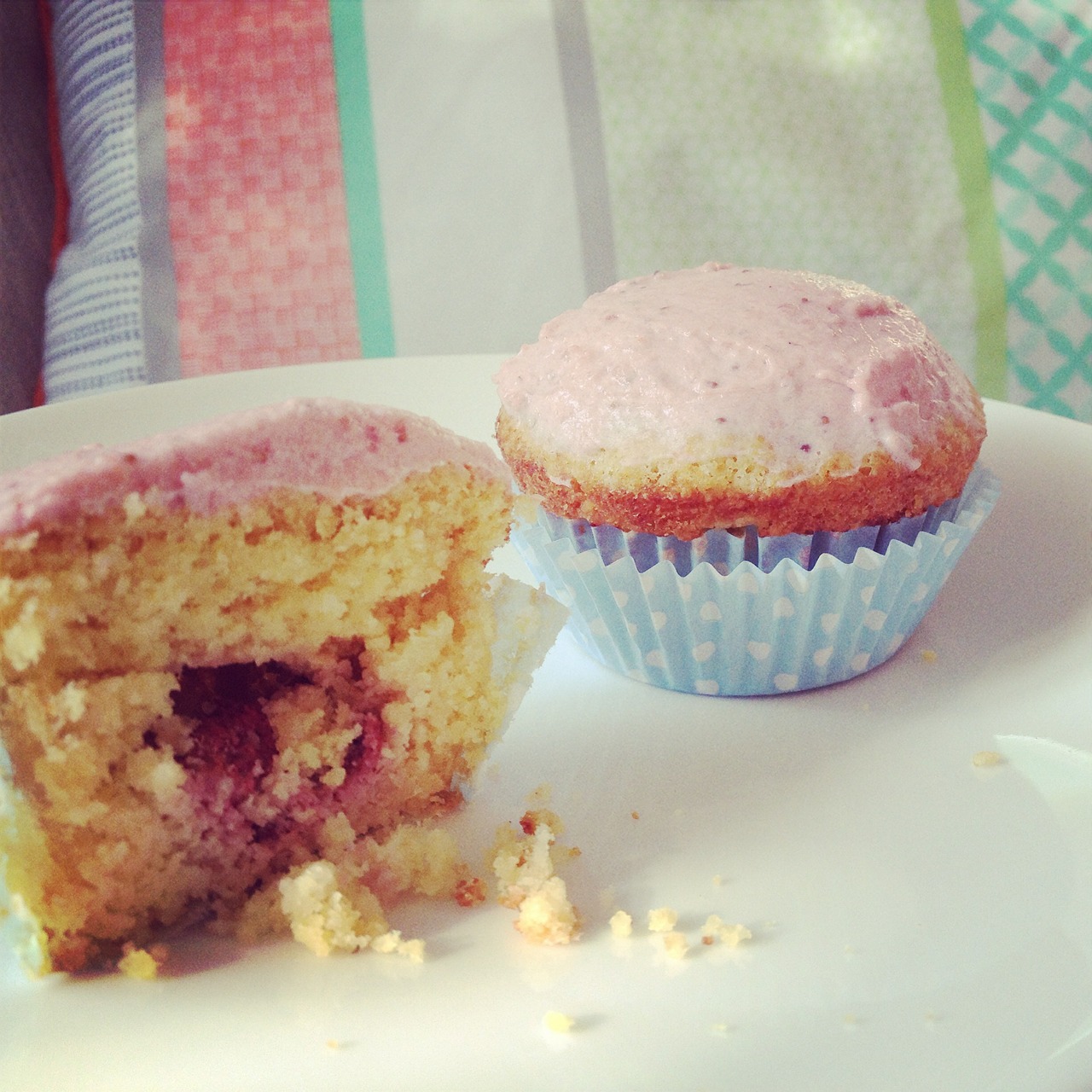 muffin cake bake free photo