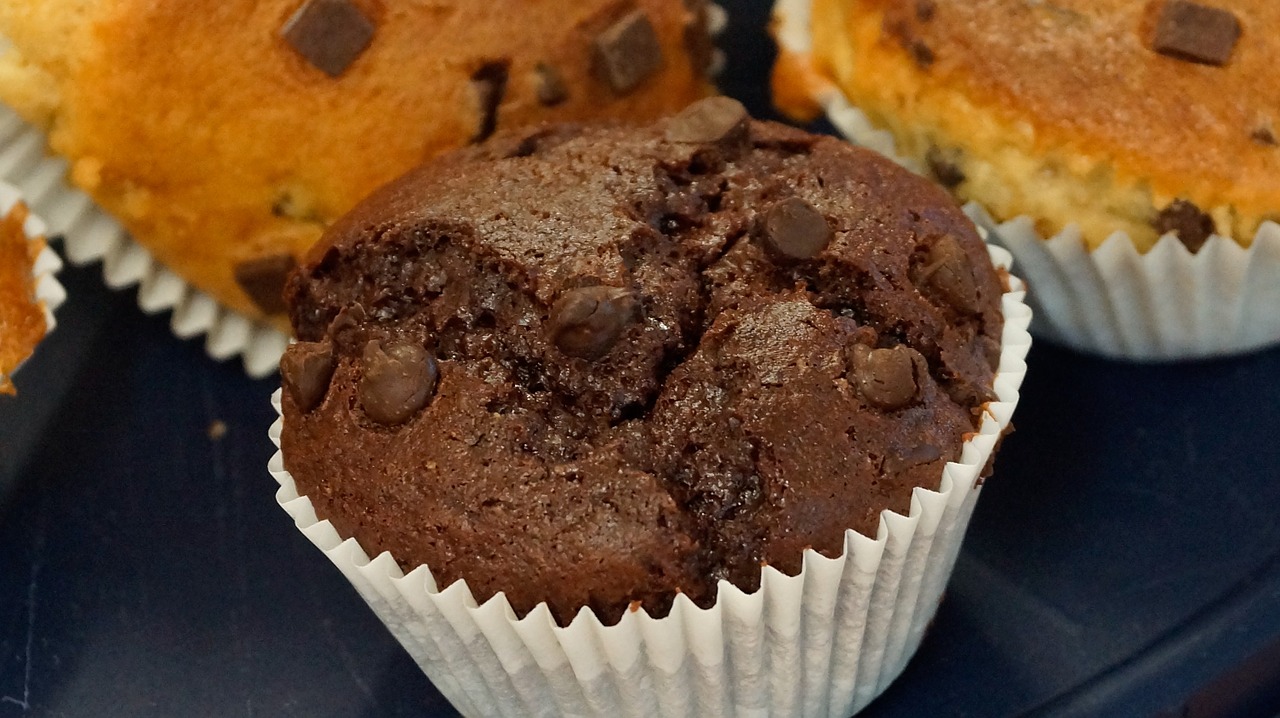 muffin chocolate food free photo