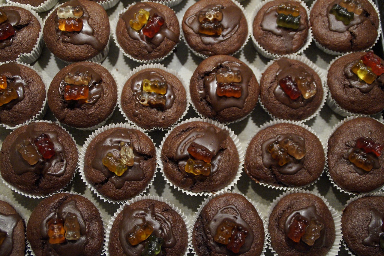 muffins schokomuffins schokoladenmuffins free photo