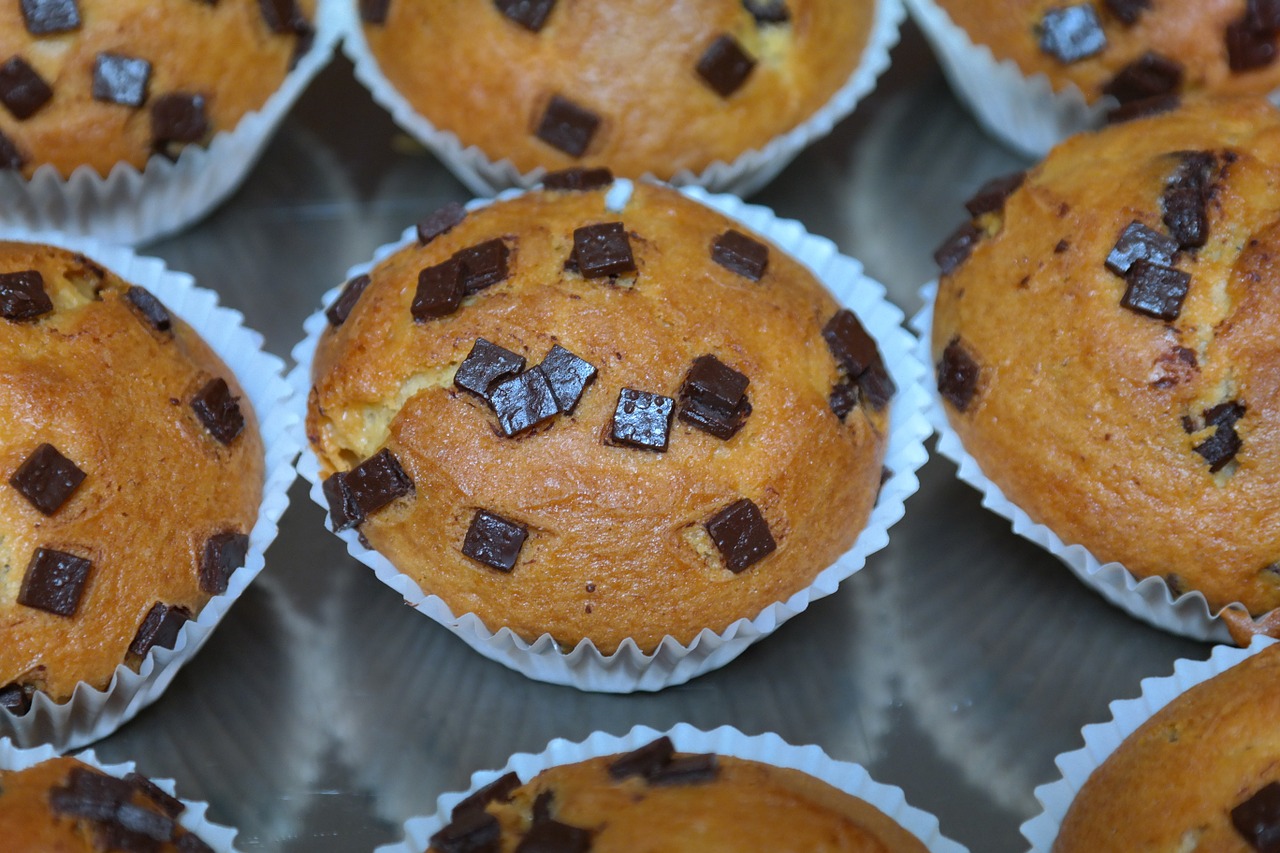 muffins schokoladenmuffins chocolate free photo