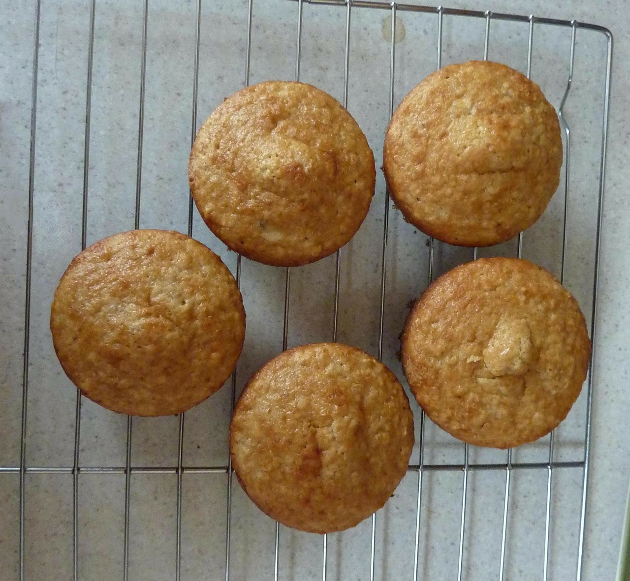muffins bread food free photo