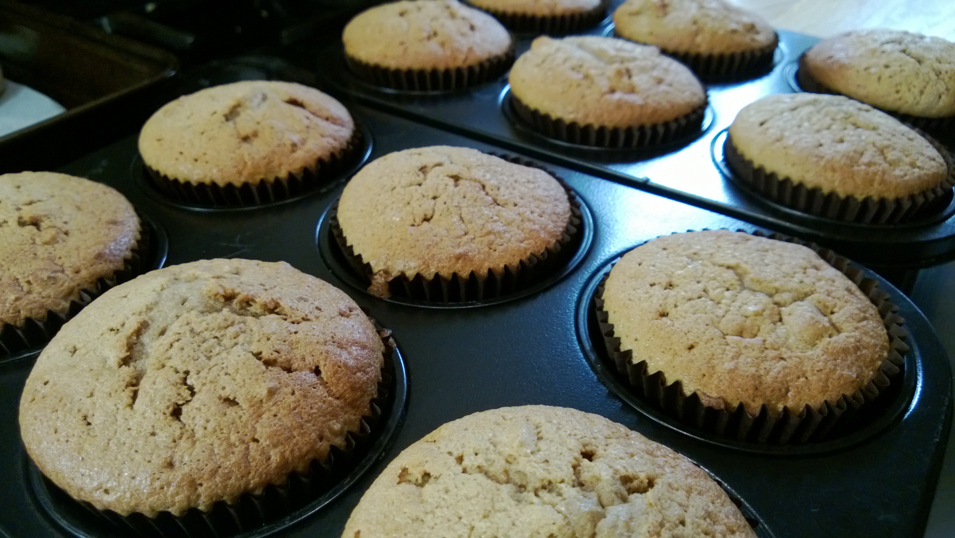 muffins oven fresh free photo