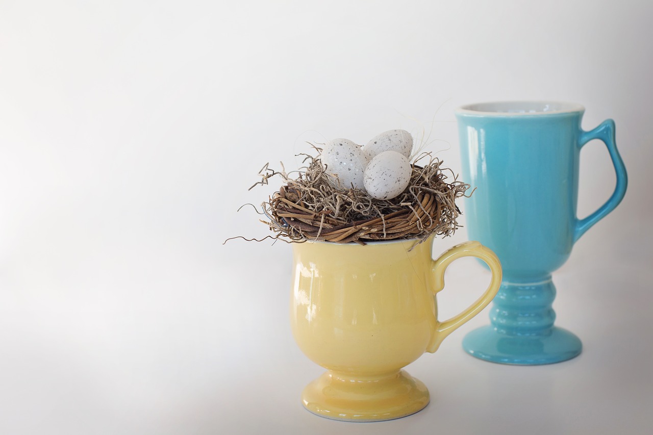 mugs bird's nest bird eggs free photo