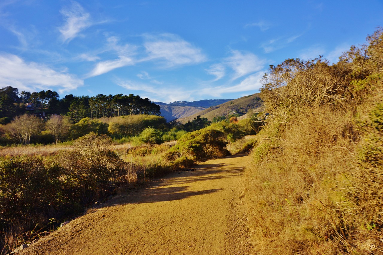 muir beach california marin county free photo