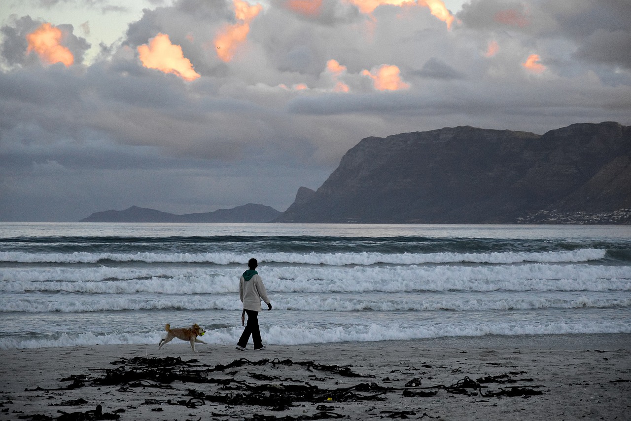 muizenberg cape town sunrise beach free photo