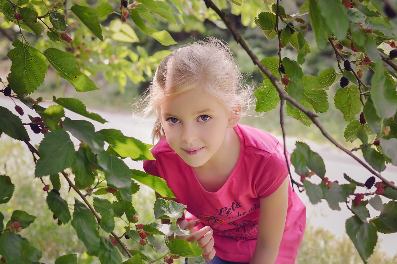 mulberry little girl summer free photo