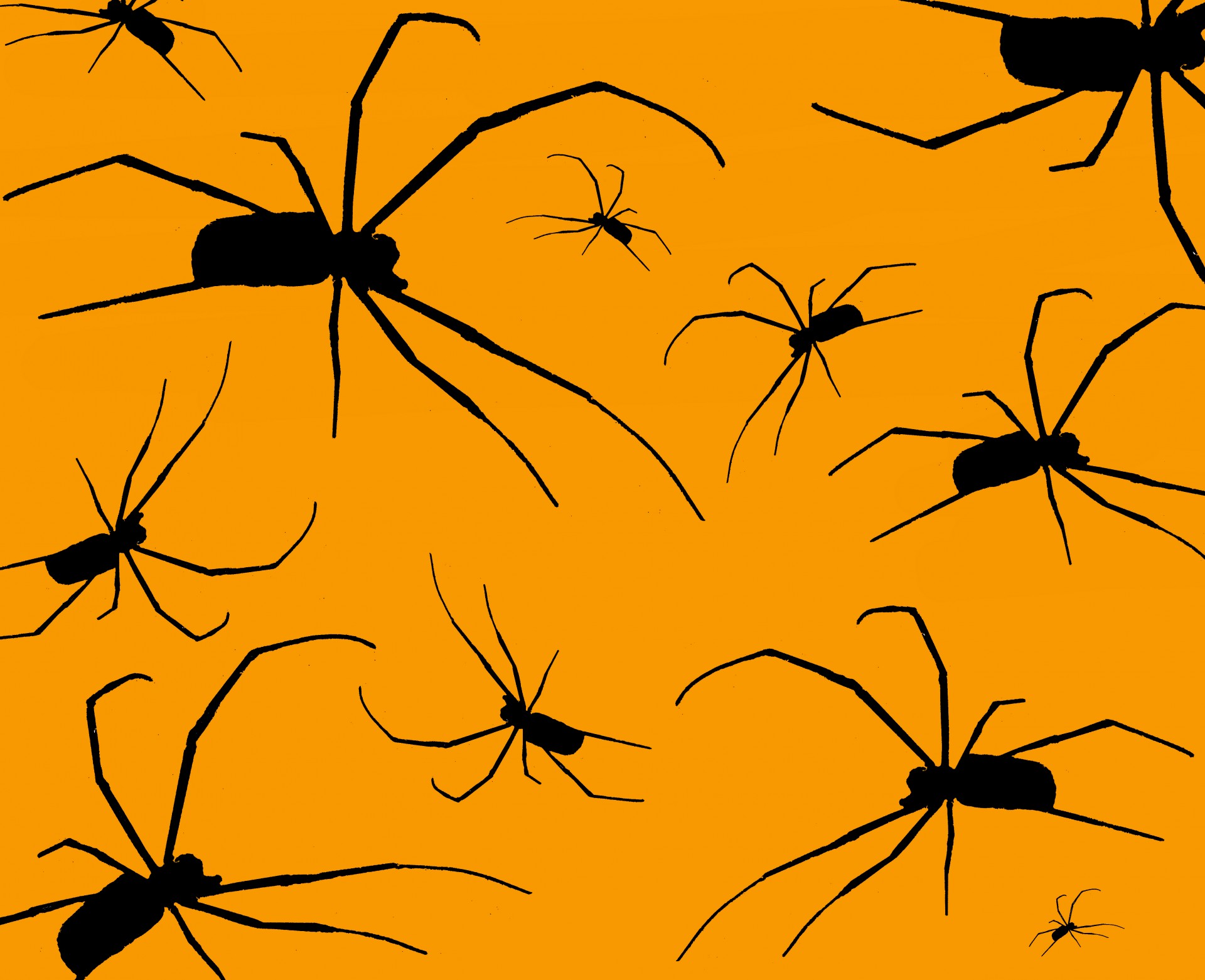 spider creepy illustration free photo