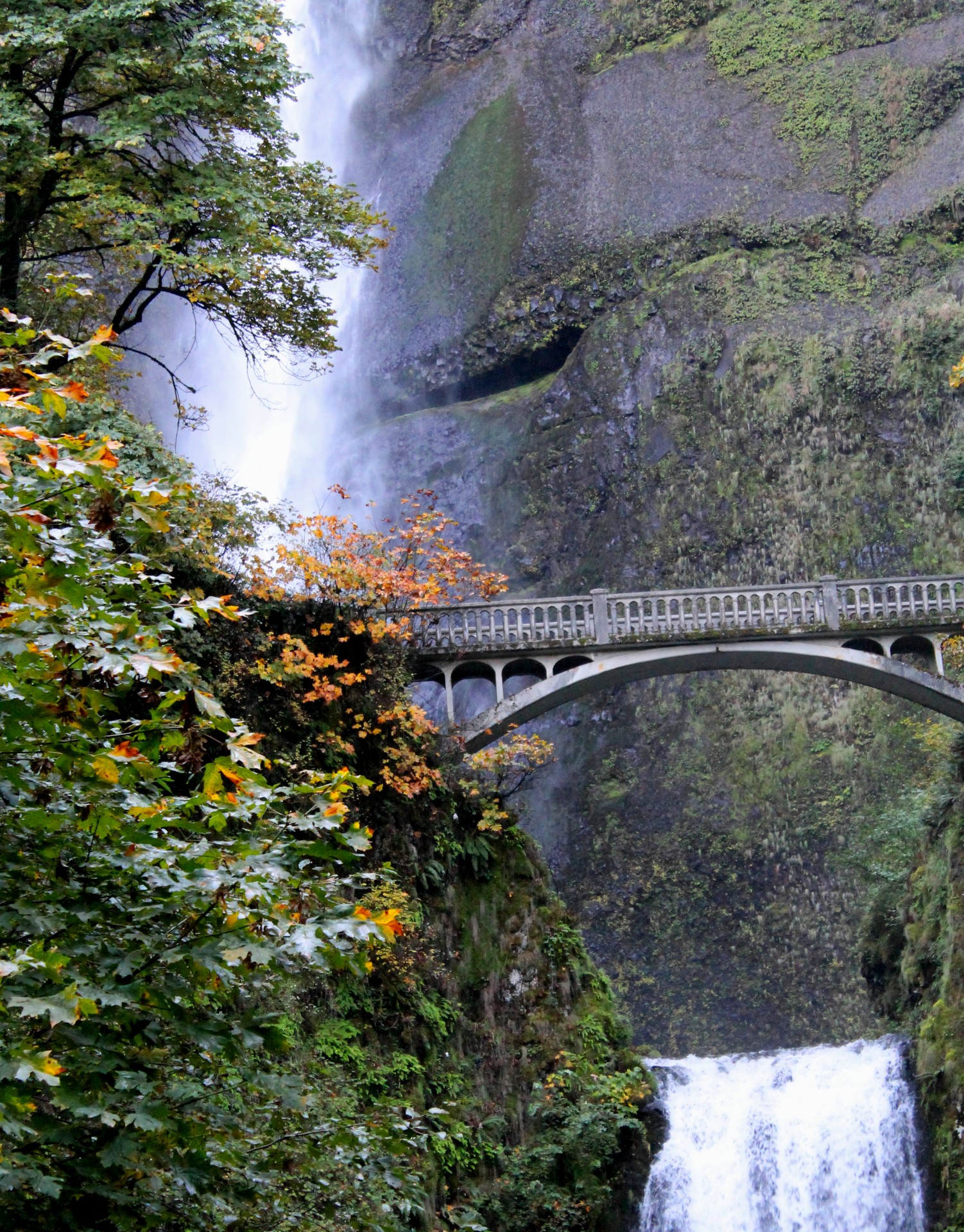 multinomah falls waterfalls oregon free photo
