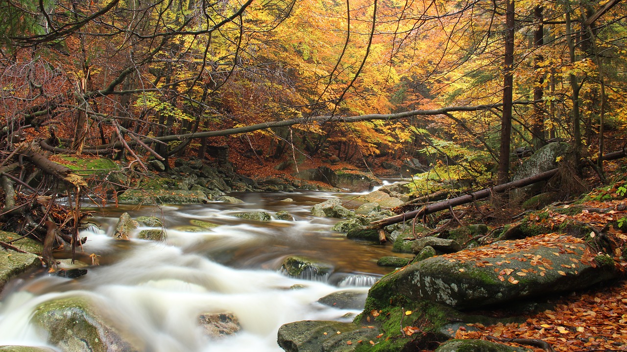 mumlava river nature free photo