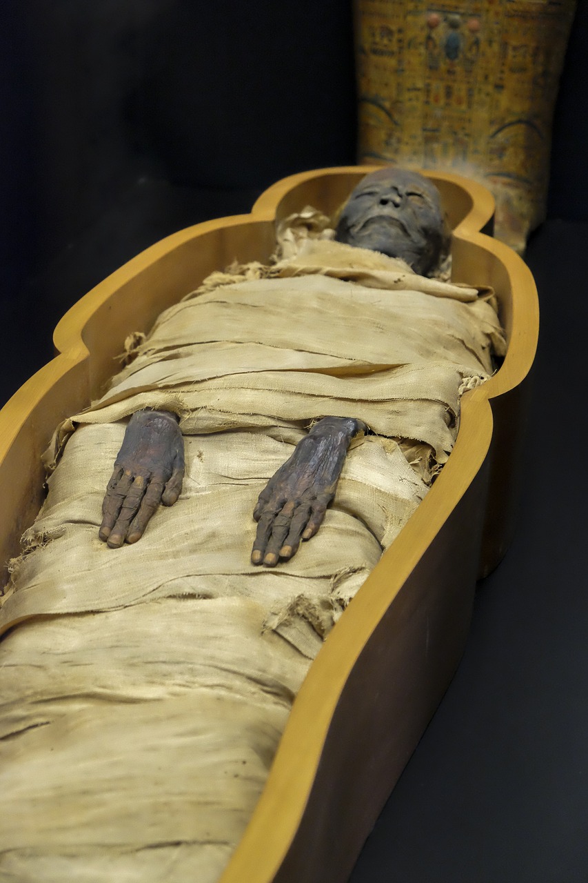mummy museum egypt free photo