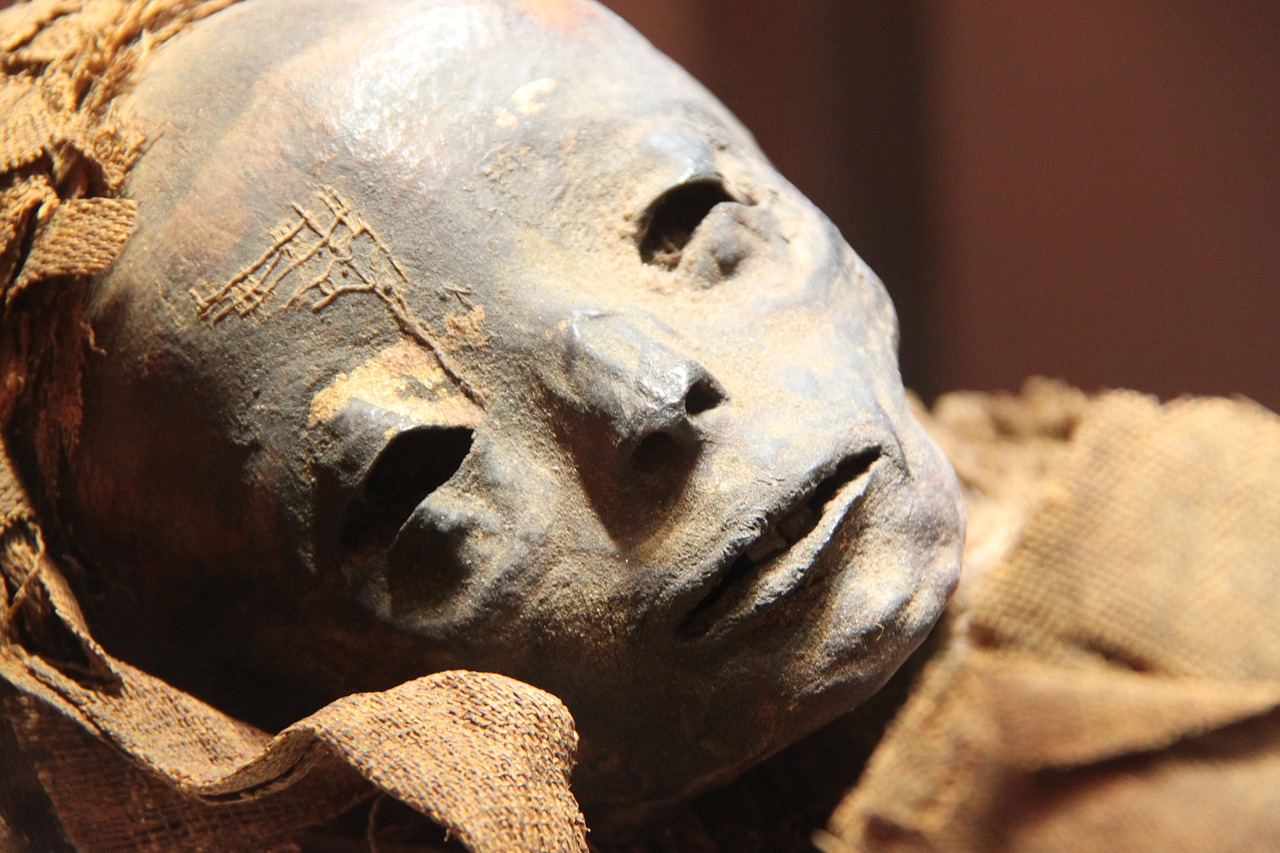 mummy museum egyptian free photo