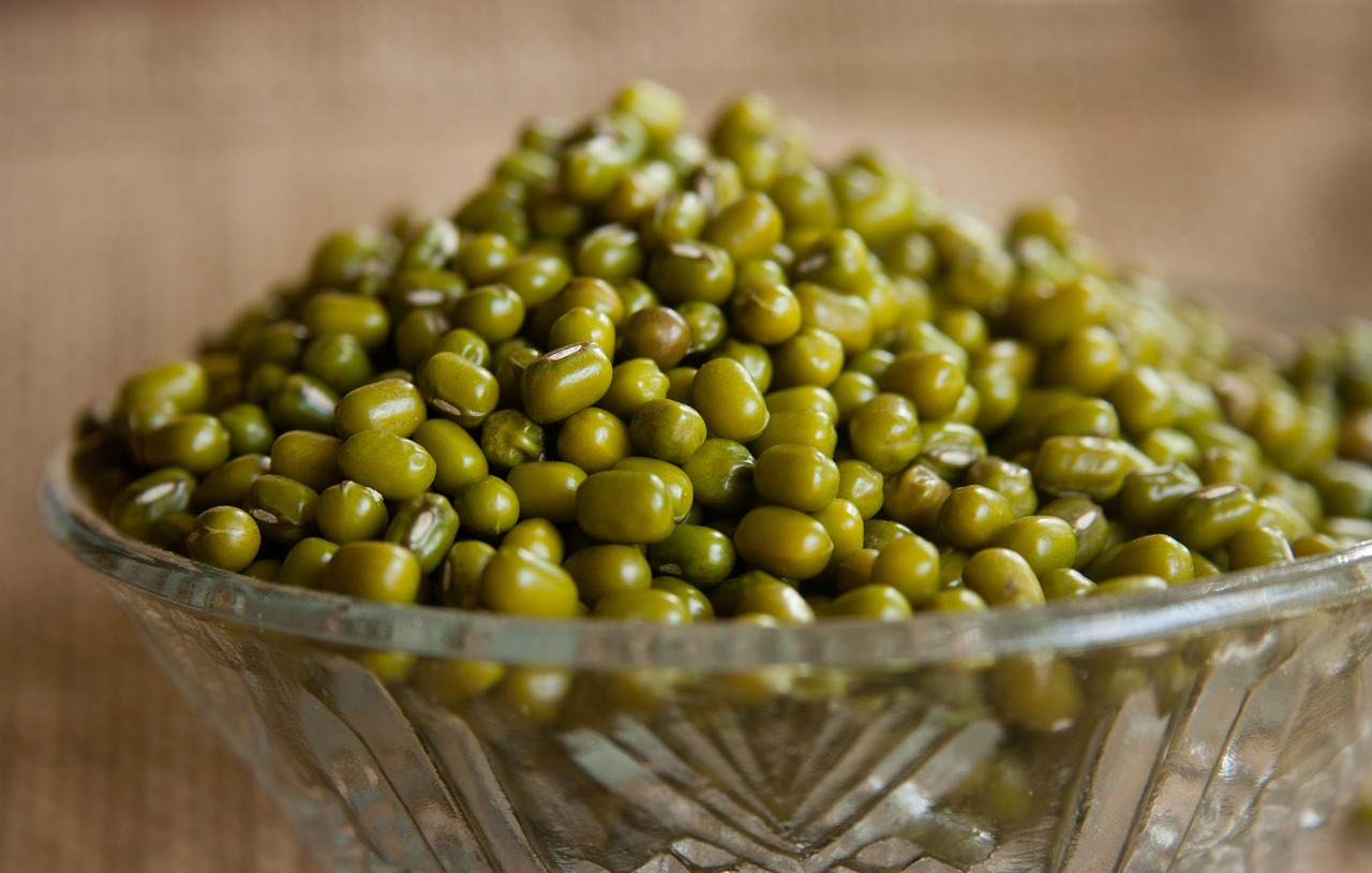 mung beans moong beans green gram free photo