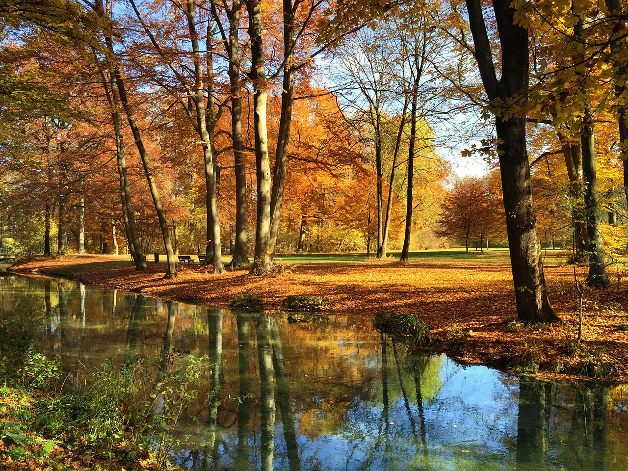 munich english garden autumn free photo