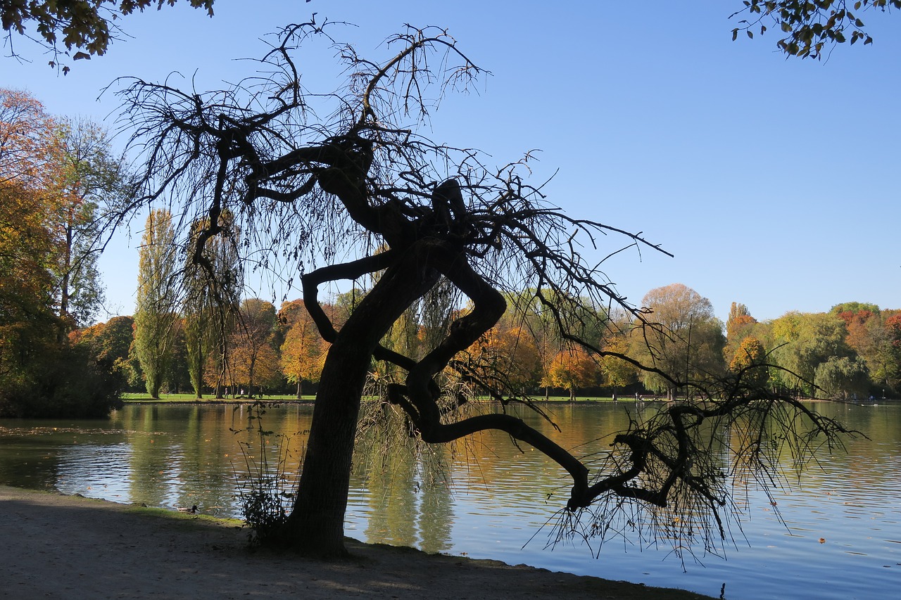 Munich English Garden Seehaus Autumn Tree Free Image From