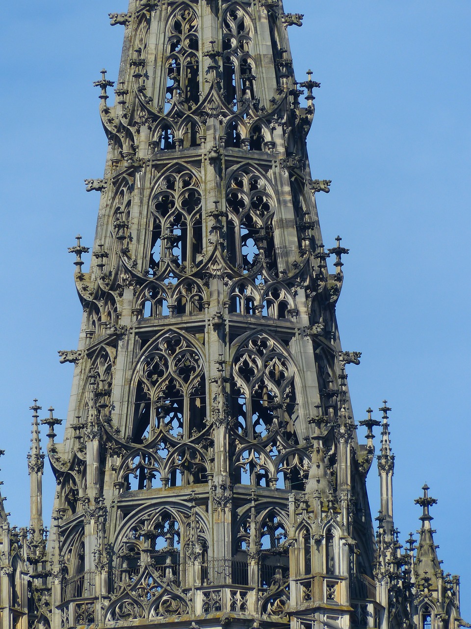 münster ulm cathedral tower free photo