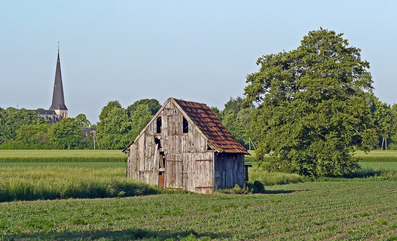 münsterland westfalen rural free photo