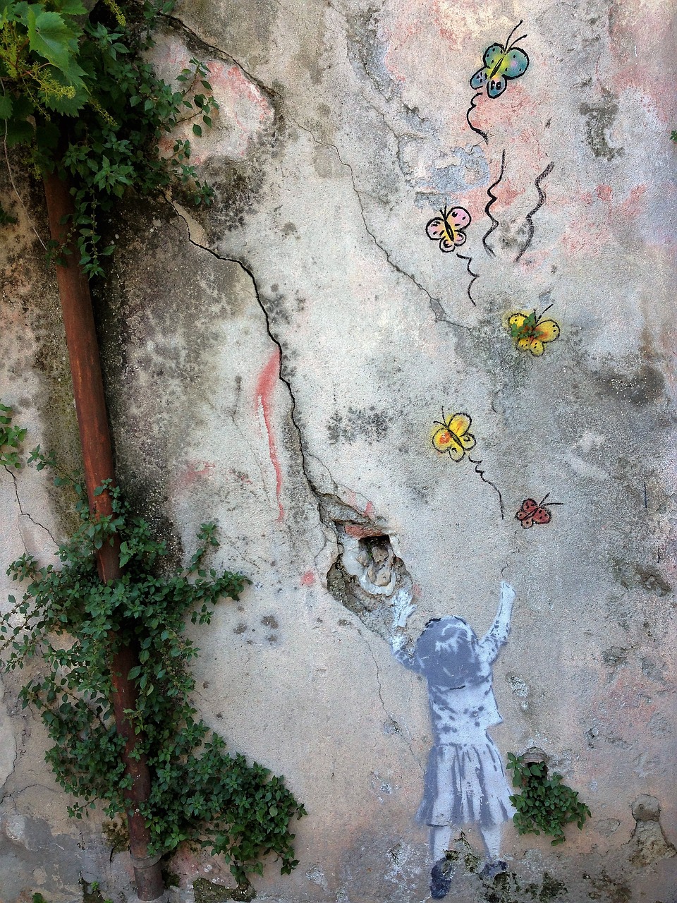 mural butterflies drawing free photo