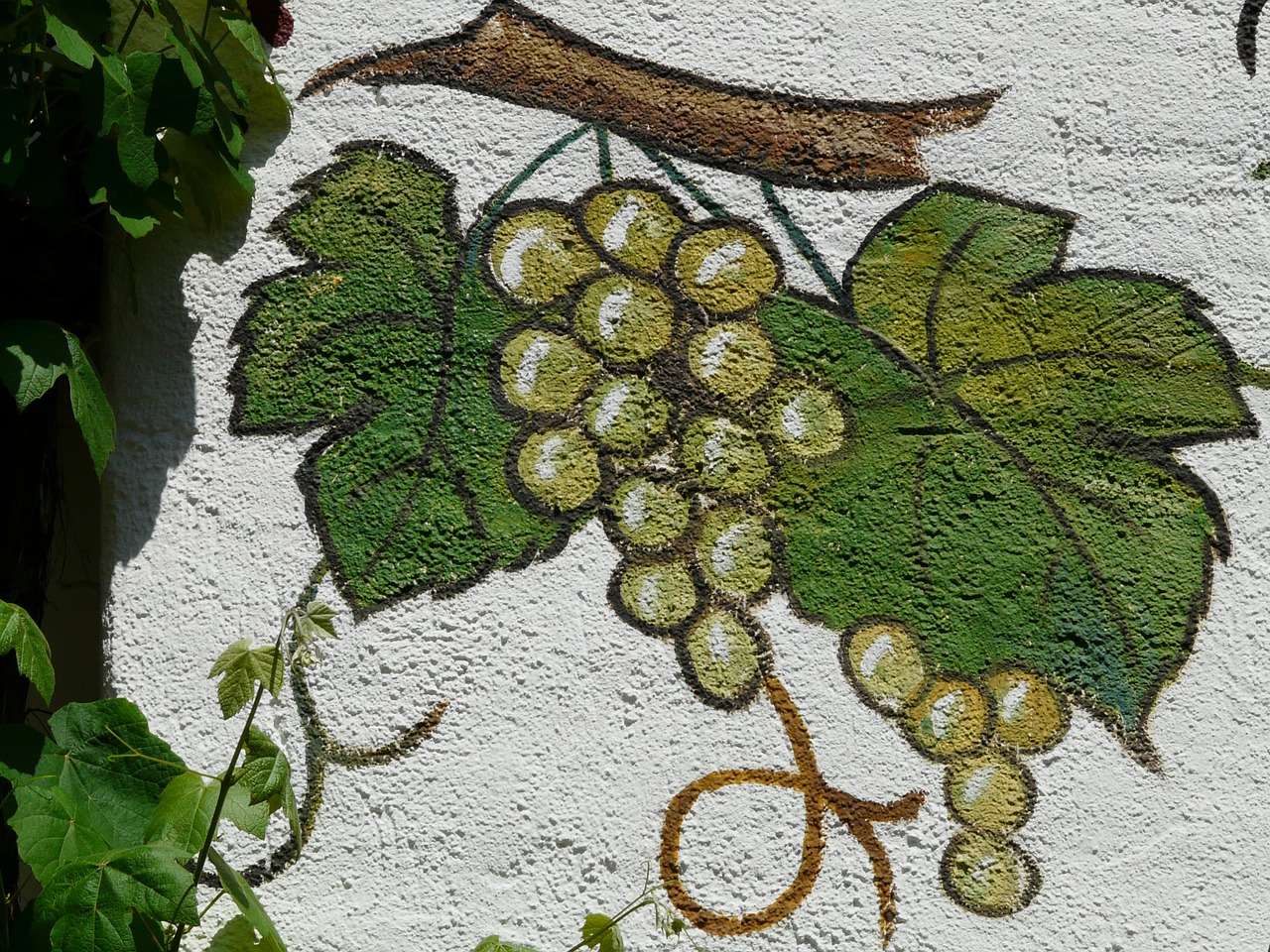 mural painting grapes free photo